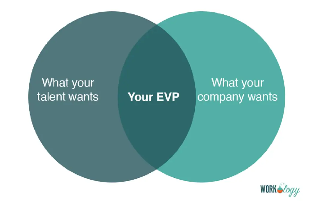 venn diagram of employee value proposition