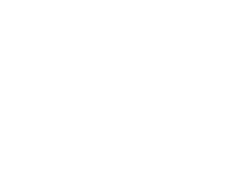 digital mindset logo white