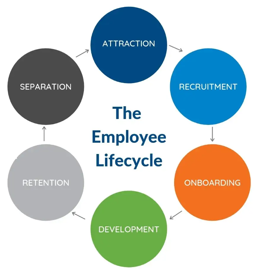the employee lifecycle