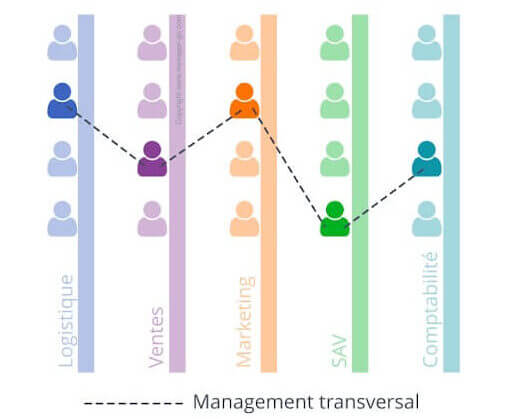 Schéma du management transversal
